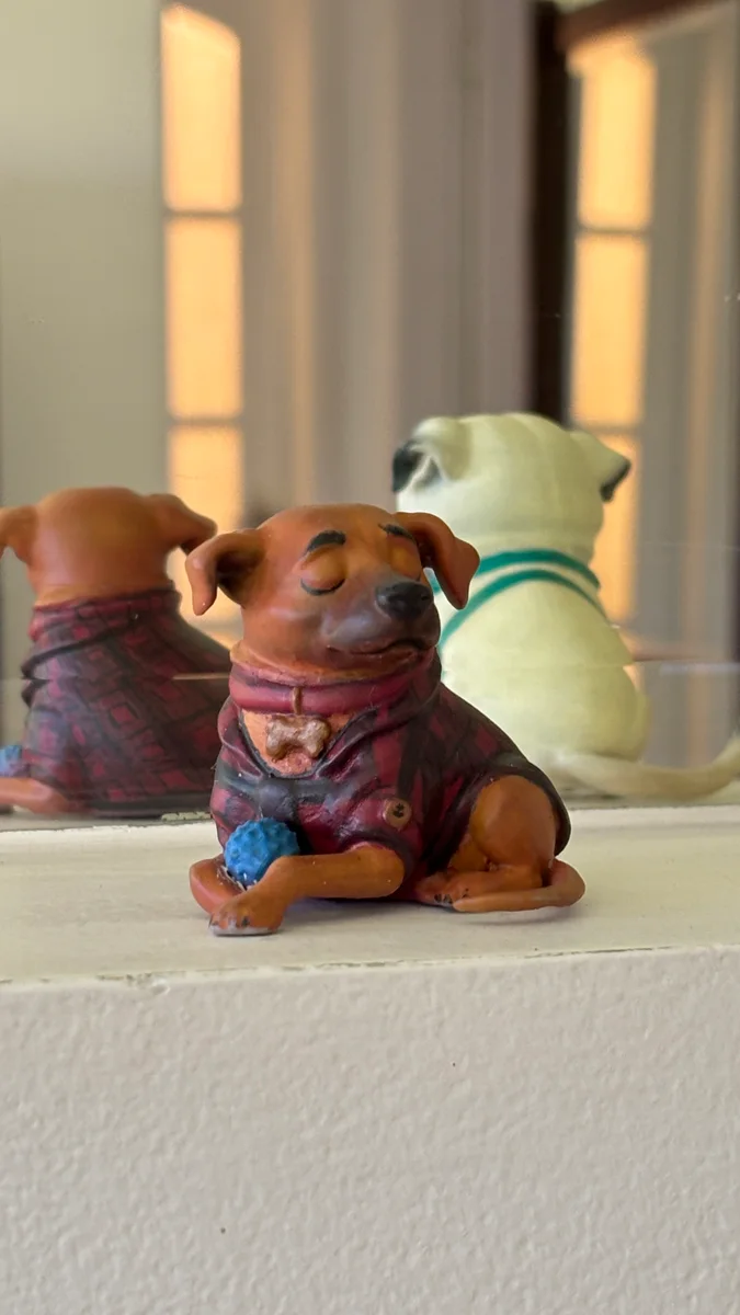 Close da miniatura da Flor, cachorra marrom deitada de casaquinho xadrez, com a bolinha azul junto da pata