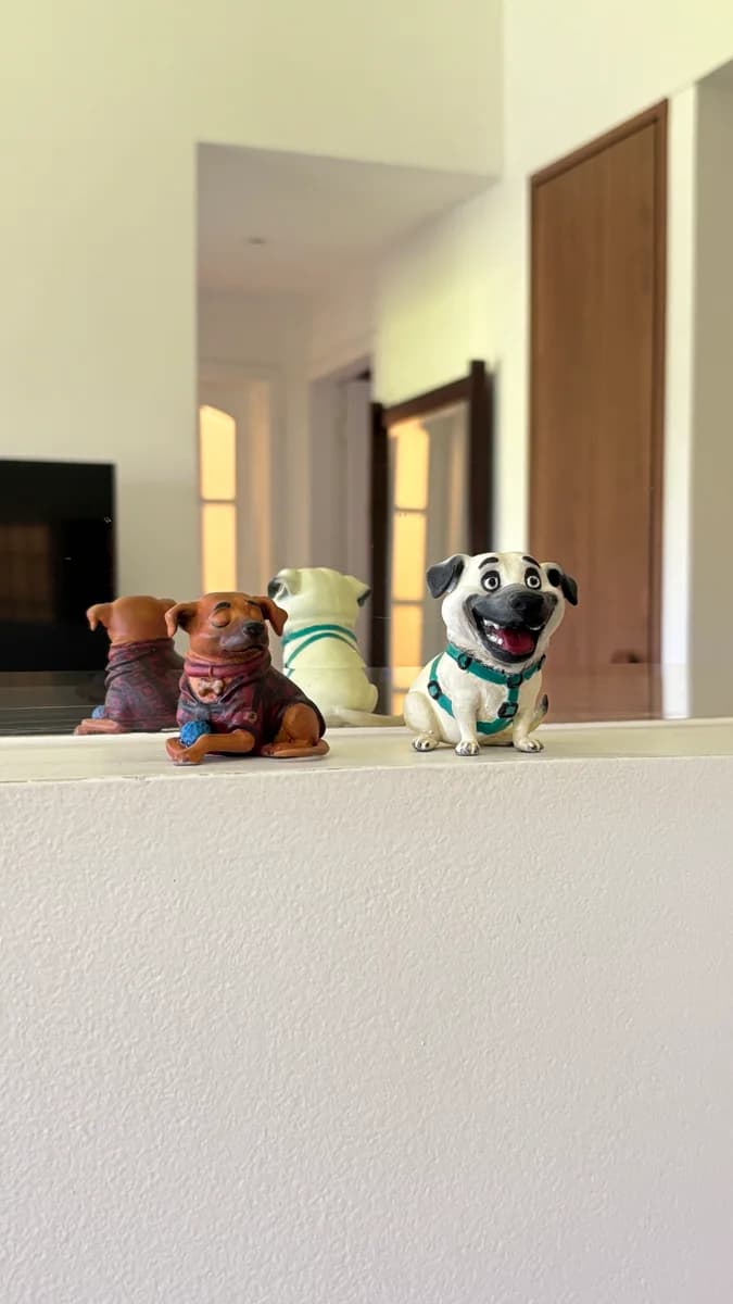 Miniaturas recebidas e colocadas na prateleira da casa da cliente
